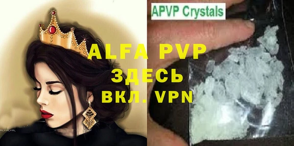 стаф Алексин
