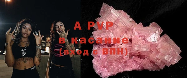 стаф Алексин