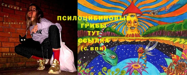мяу мяу мука Алзамай