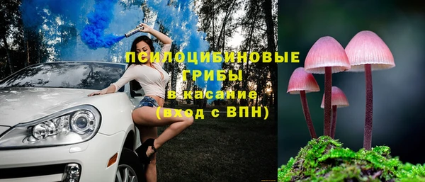 крисы Алексеевка