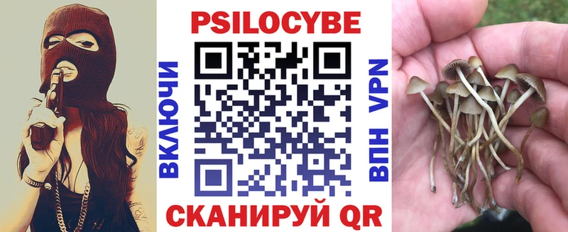 Псилоцибиновые грибы Magic Shrooms  Купить  Калтан 